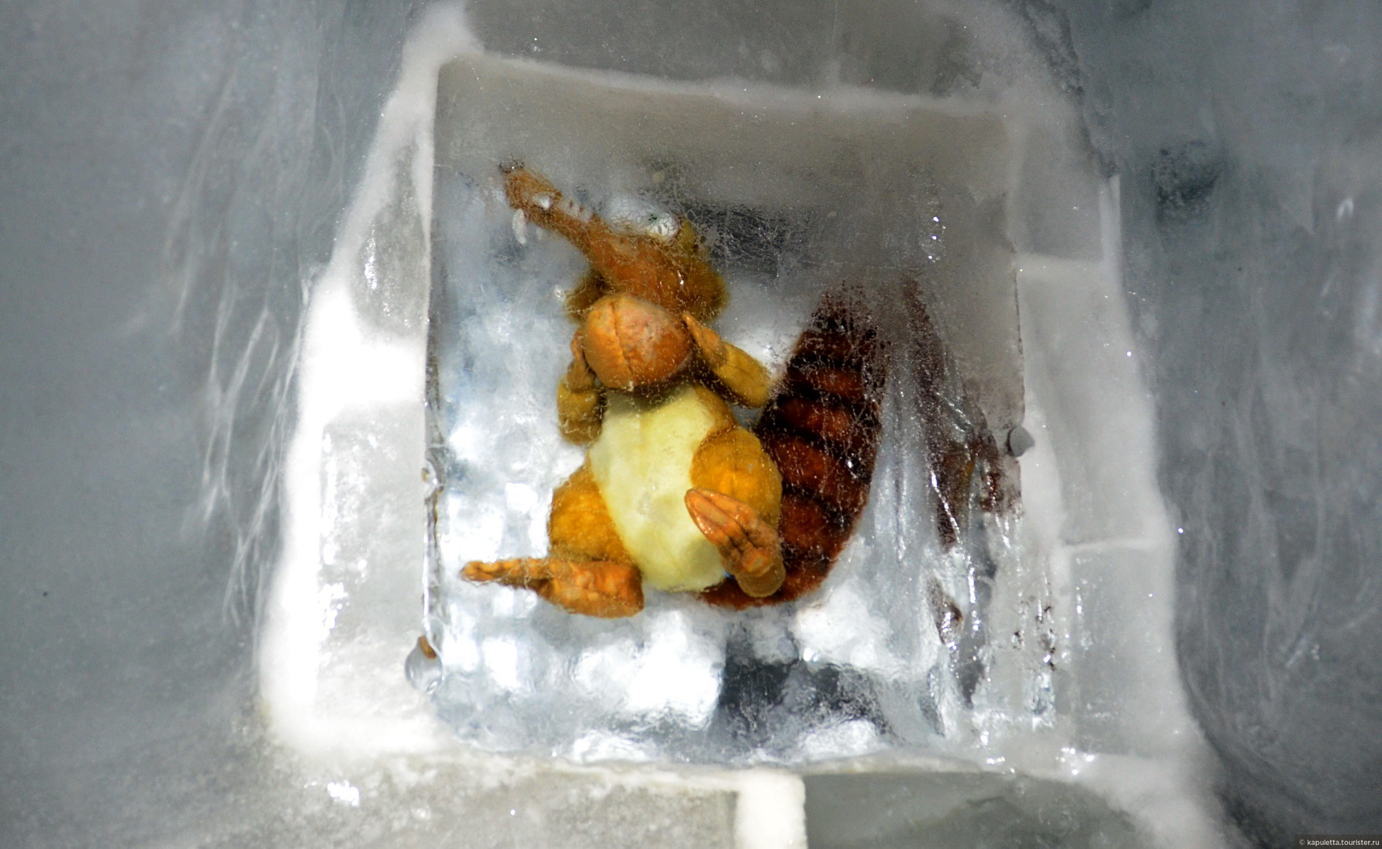 Jungfraujoch